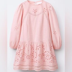 Zara Girl’s Schiffly Embroidered Dress Pale Pink Size 8/9